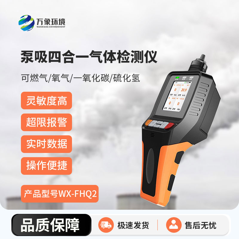 便攜式氣體檢測(cè)儀